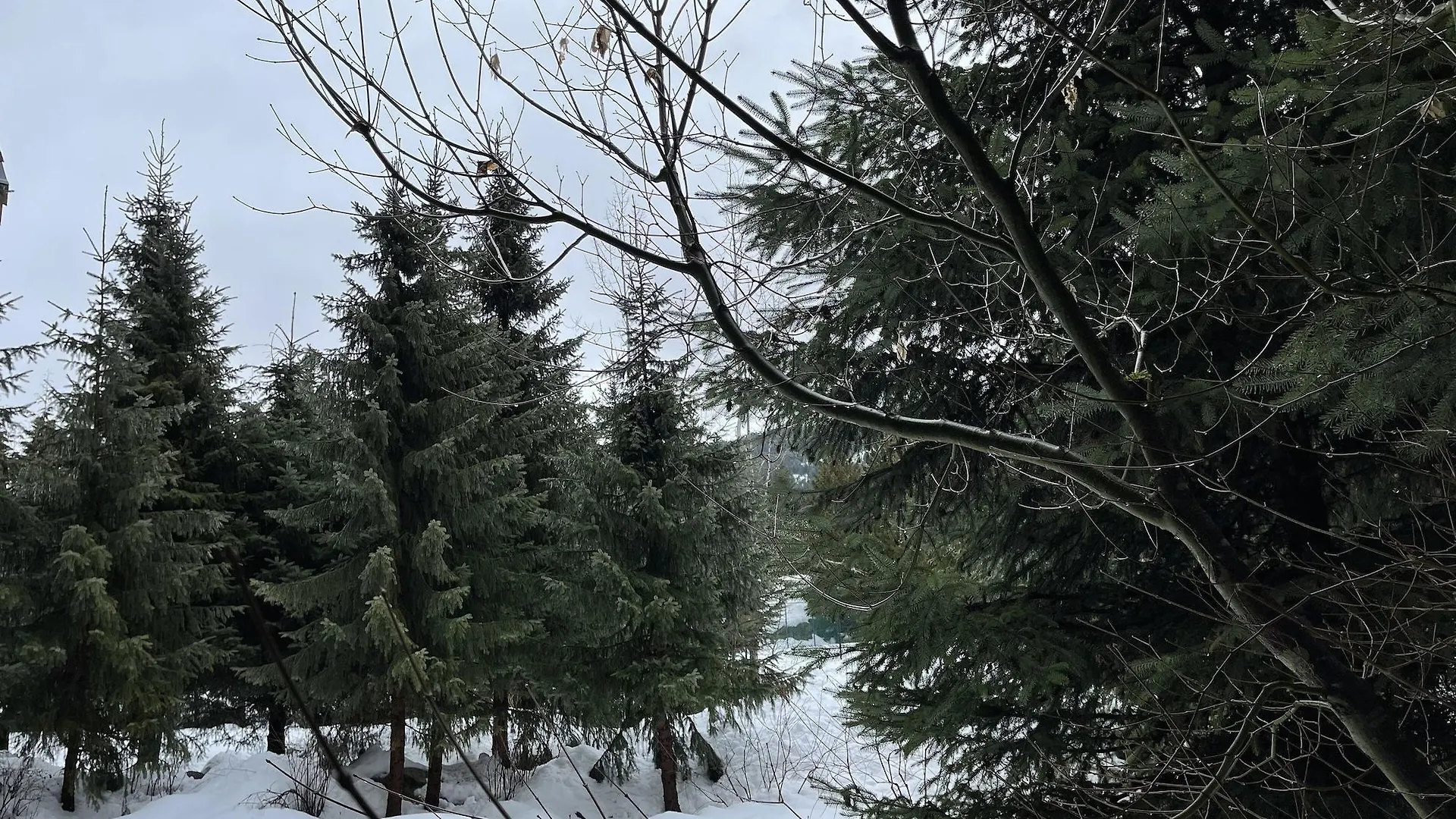 Four Seasons Resort Whistler